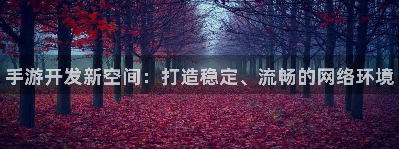 93299星空娱乐官网：手游开发新空间：打造稳定、流畅的网络