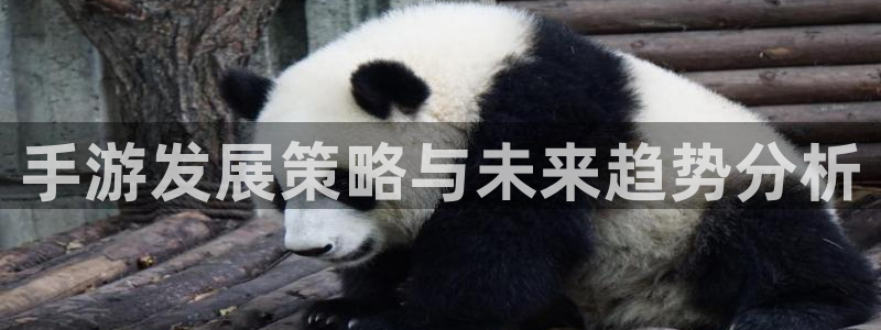 星空娱乐网址：手游发展策略与未来趋势分析