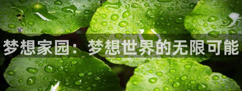 星空娱乐2021官方网站：梦想家园：梦想世界的无限可能