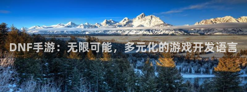 星空娱乐 挂：DNF手游：无限可能，多元化的游戏开发语言