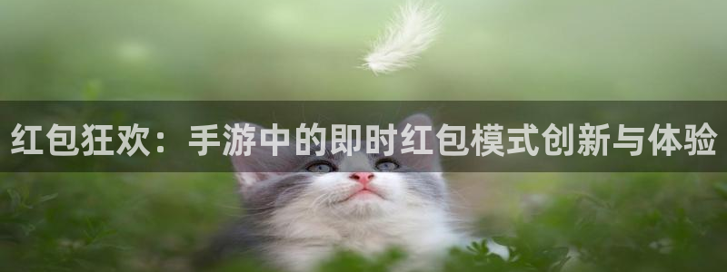 星空娱乐体育：红包狂欢：手游中的即时红包模式创新与体验