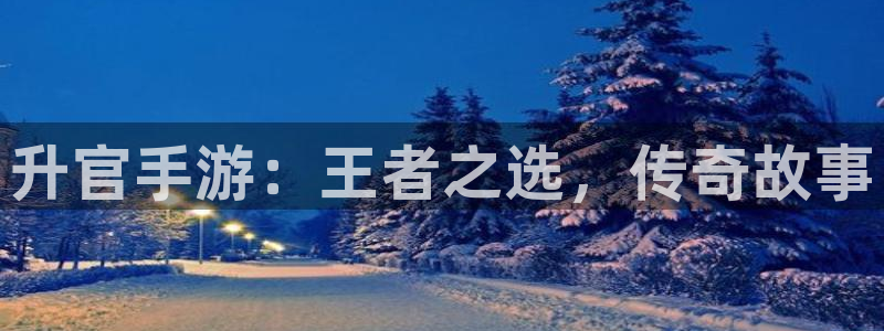 星空娱乐网址：升官手游：王者之选，传奇故事
