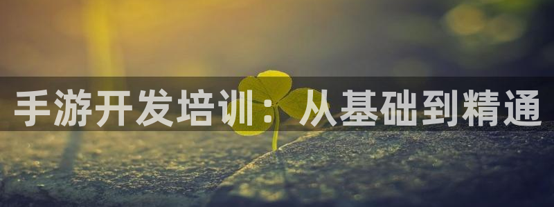 93299;com星空娱乐：手游开发培训：从基础到精通