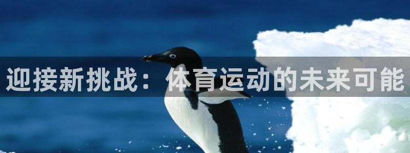 bbin视讯游戏平台
