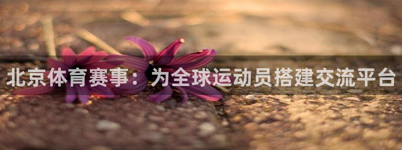 bbin视讯