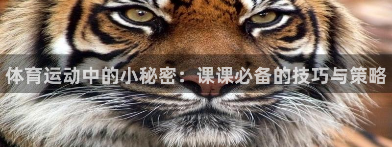 bbin视讯下