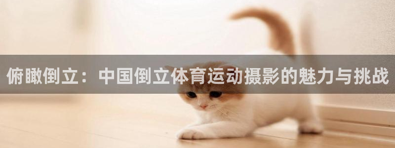 bbin视讯游戏官网