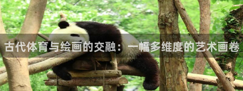 bbin视讯游戏平台：古代体育与绘画的交融：一幅多维度的艺术画卷
