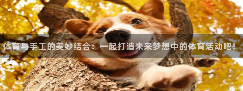 bbin视讯下：体育与手工的美妙结合：一起打造未来梦想中的体育活动吧！