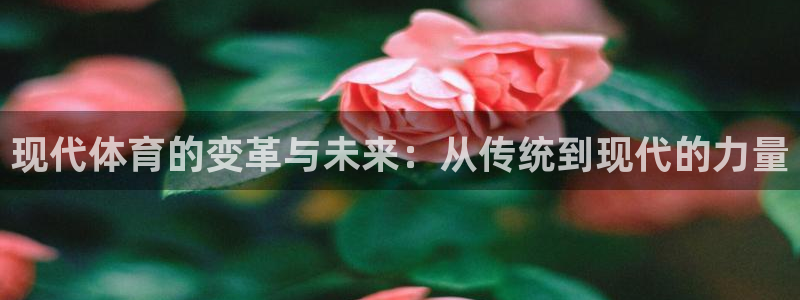 bbin视讯游戏官网：现代体育的变革与未来：从传统到现代的力量