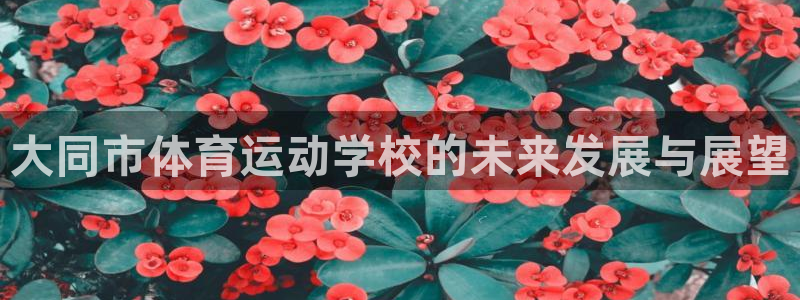 bbin视讯下