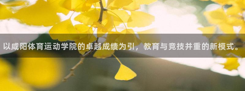 bbin视讯