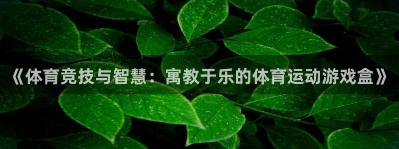 bbin视讯游戏官网：《体育竞技与智慧：寓教于乐的体育运动游戏盒》