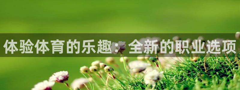 bbin视讯游戏官网：体验体育的乐趣：全新的职业选项