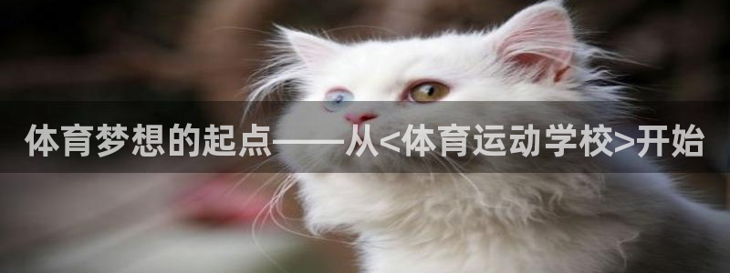 bbin视讯下
