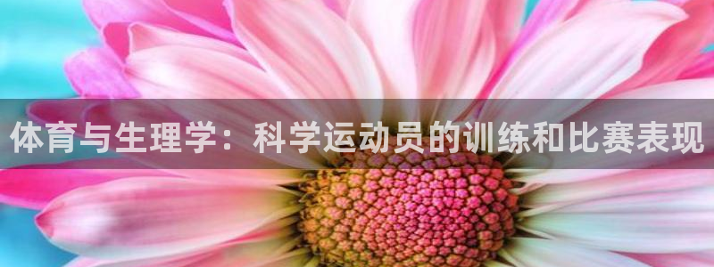 bbin视讯
