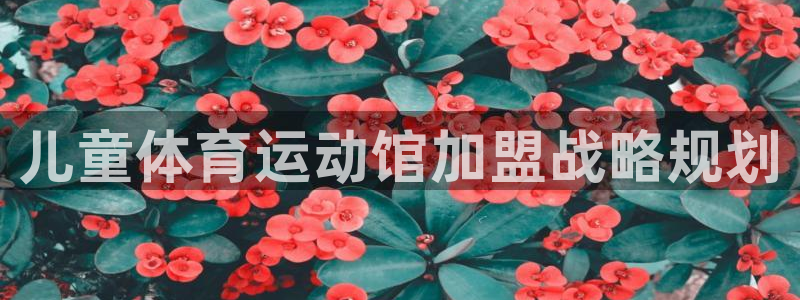 bbin视讯下
