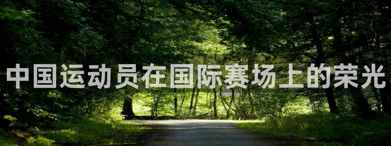 bbin视讯下