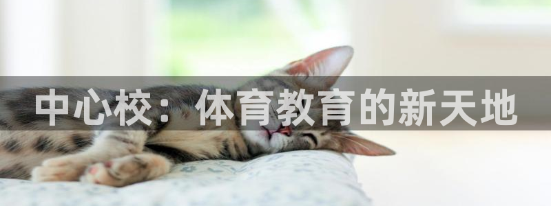 bbin视讯